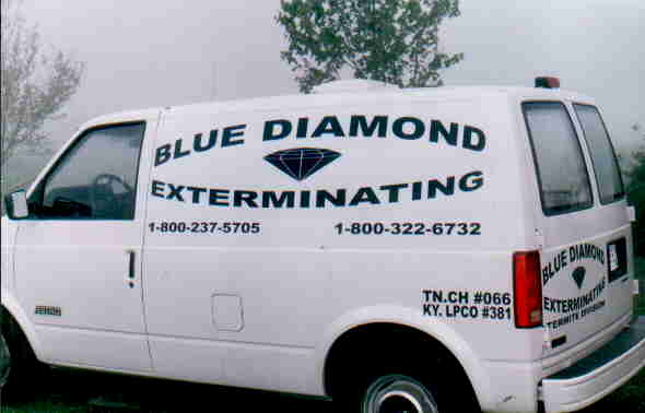 bluediamond.jpg